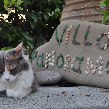 Panorama In Pefkos Pefki