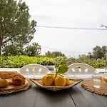 Panorama In Pefkos *