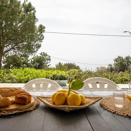 Panorama In Pefkos *