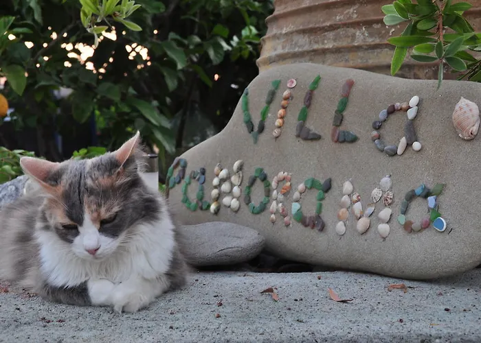 Panorama In Pefkos Pefki (Rhodes)